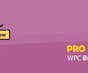 دانلود افزونه WPC Buy Now Button for WooCommerce پریمیوم