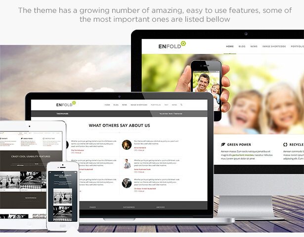 enfold-multipurpose-responsive-wordpress-theme