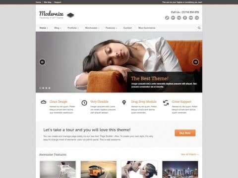 Modernize-WP-Theme-480x360