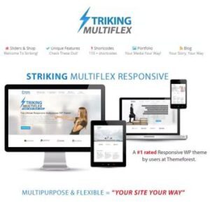 Striking-MultiFlex-Ecommerce-Responsive-WP-Theme